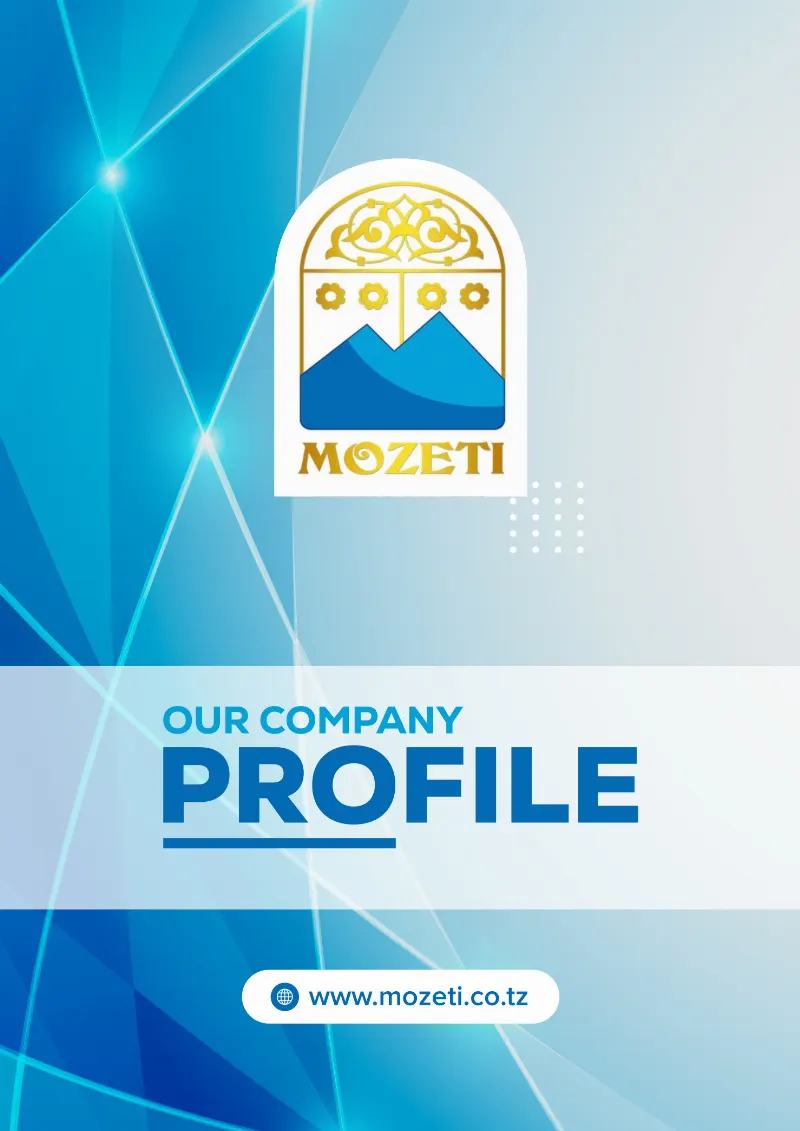 Mozeti Company Profile